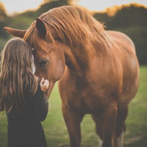 Equine Therapy