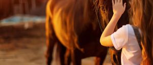 PEMF Therapy For Horses
